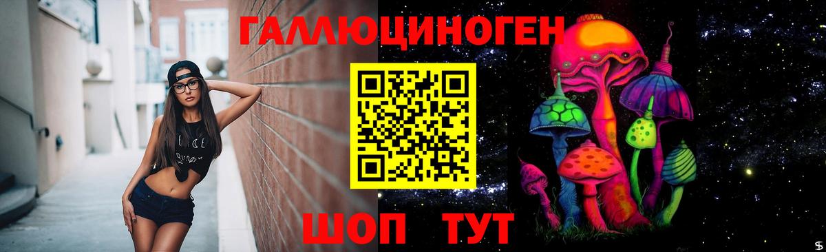 Соль-Илецк  Псилоцибиновые грибы Psilocybe  Вход с VPN 